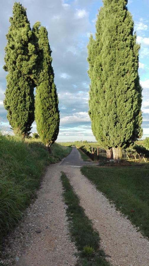 B&B Da Miriam Castelnuovo del Garda Εξωτερικό φωτογραφία
