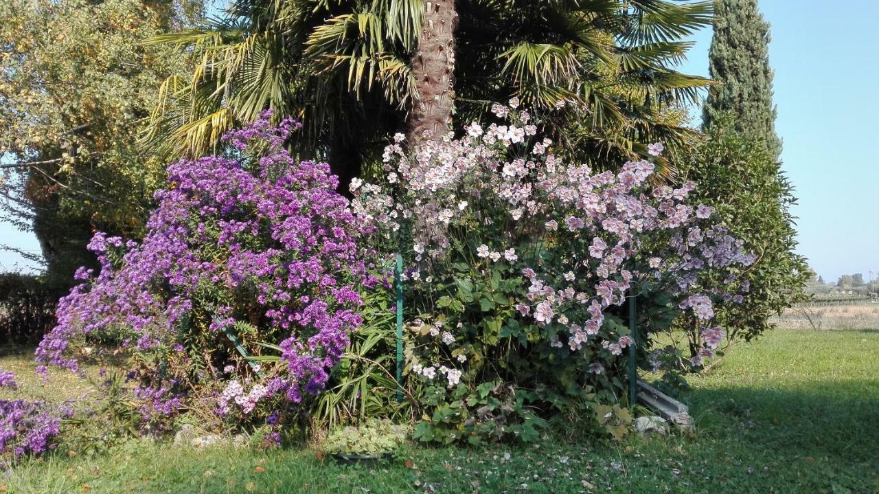 B&B Da Miriam Castelnuovo del Garda Εξωτερικό φωτογραφία